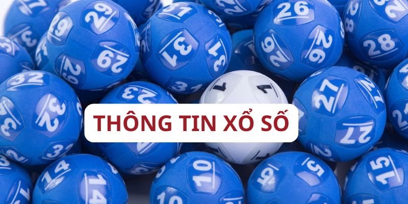 Không gian này mang đến nhiều loại hình cược khác nhau