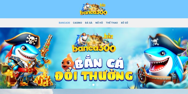 Tổng quan về Banca300